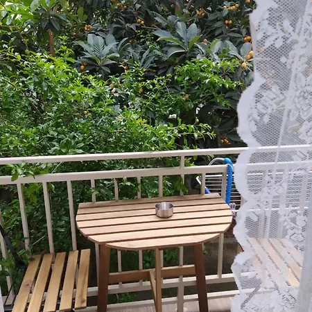 Elegant Central Studio Free Wifi And Netflix