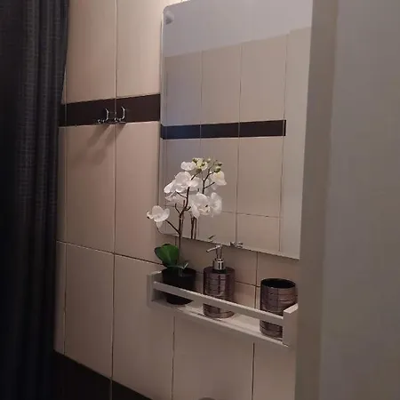 Elegant Central Studio Free Wifi And Netflix *