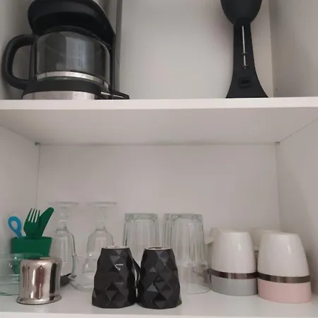 Elegant Central Studio Free Wifi And Netflix Apartment